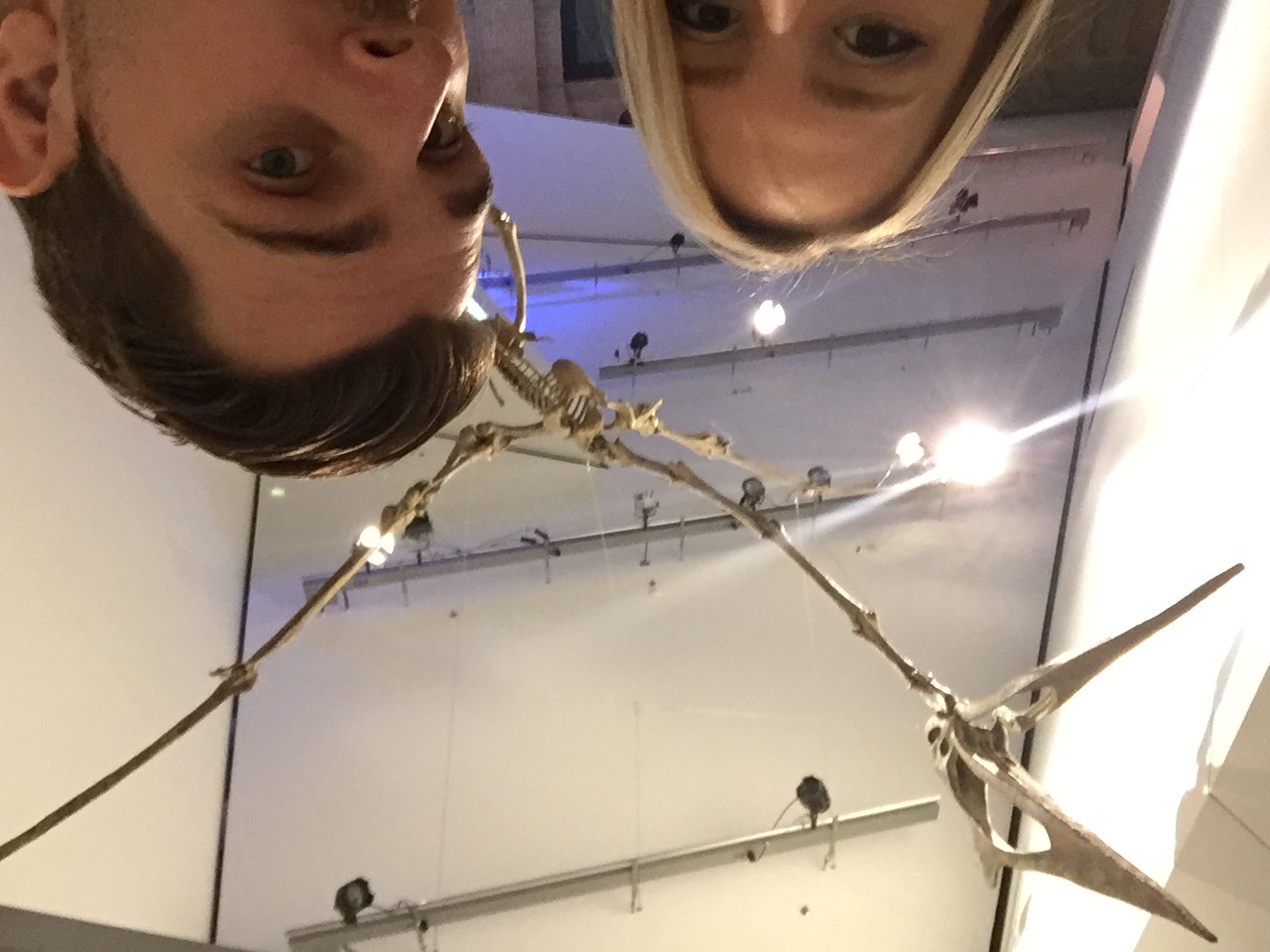 Royal Ontario Museum