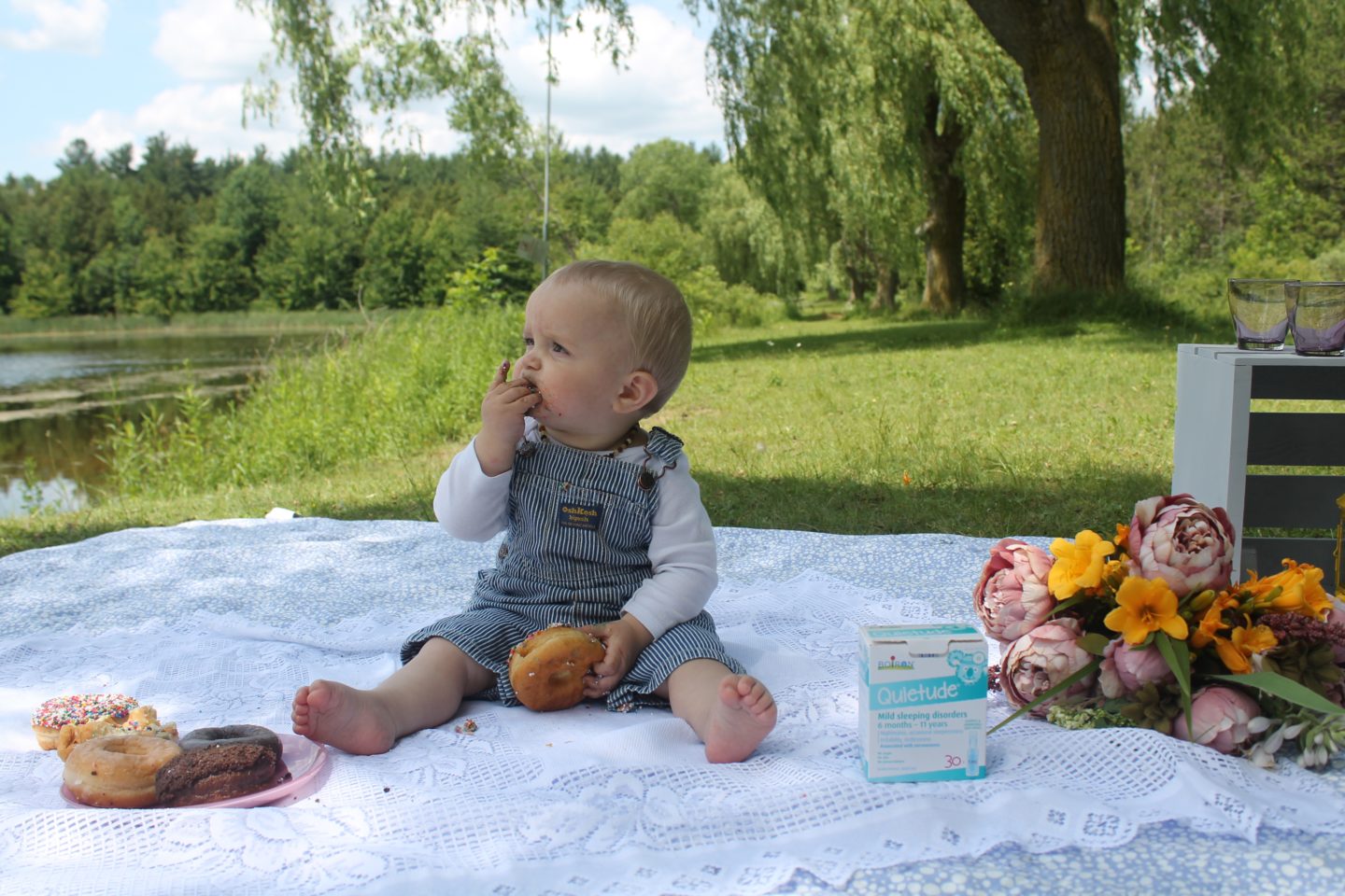 How I got my Baby to sleep through the night using Homeopathic Remedies